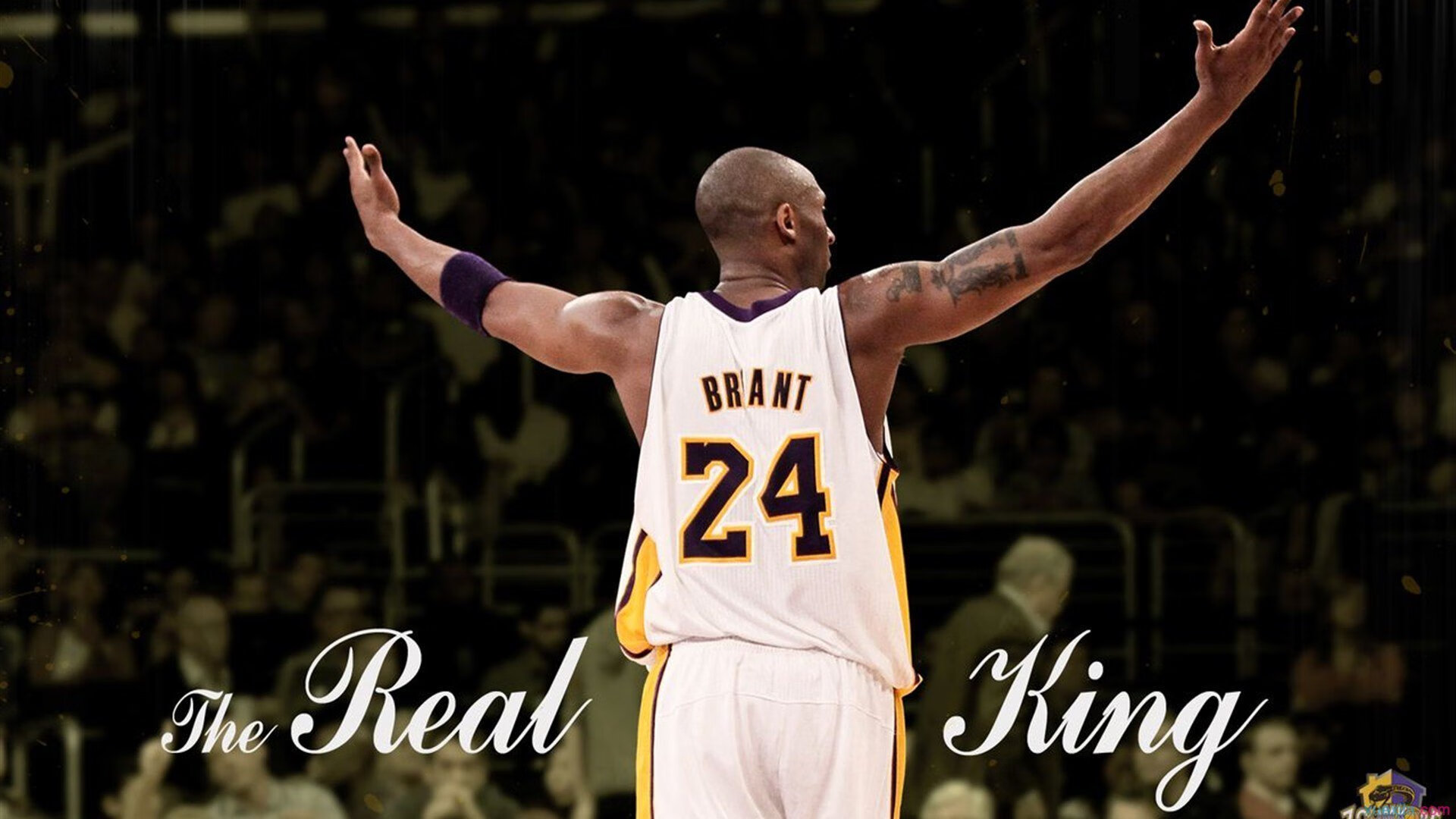 开云官网APP下载-逆转“奇迹之夜”：让人瞬间沸腾的比赛记忆，vtuber奇迹之夜