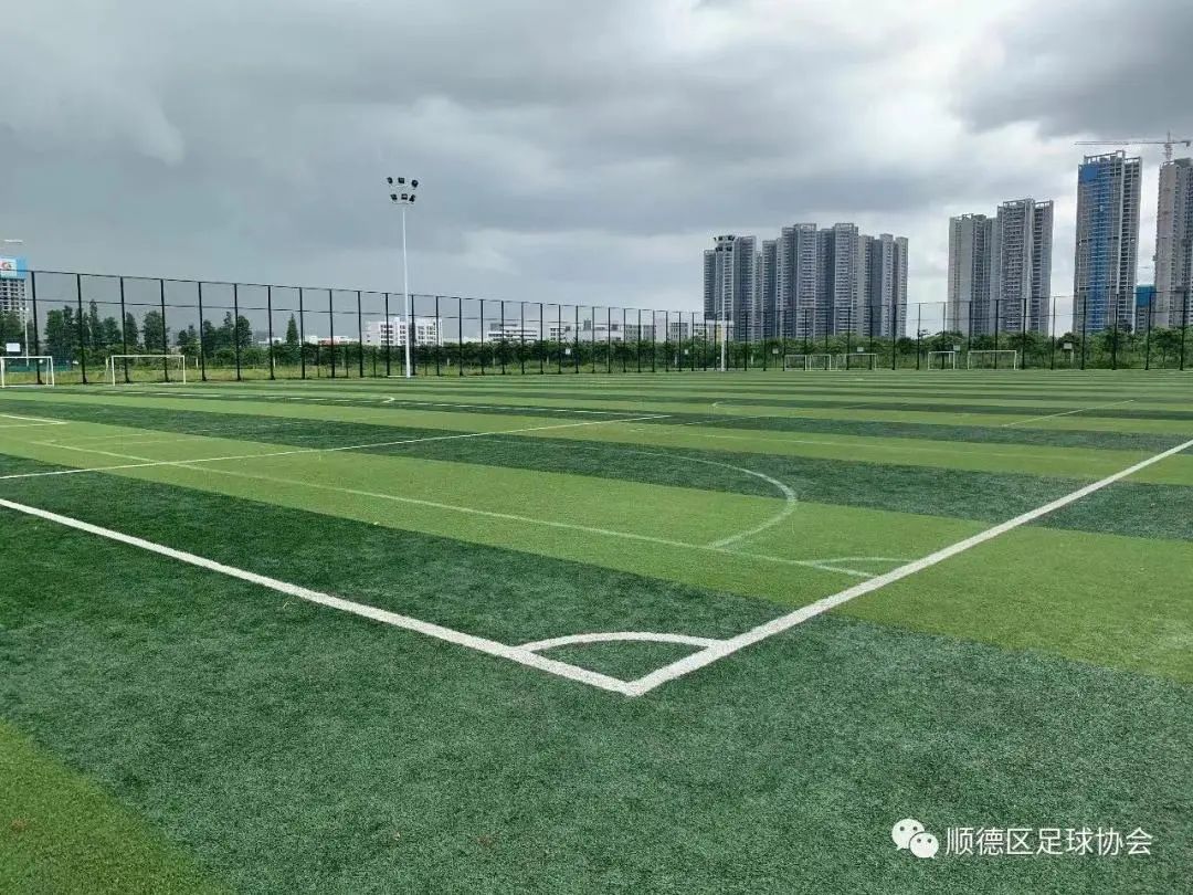 关于V体育：青少年足球场地设施建设，亟待加强的信息