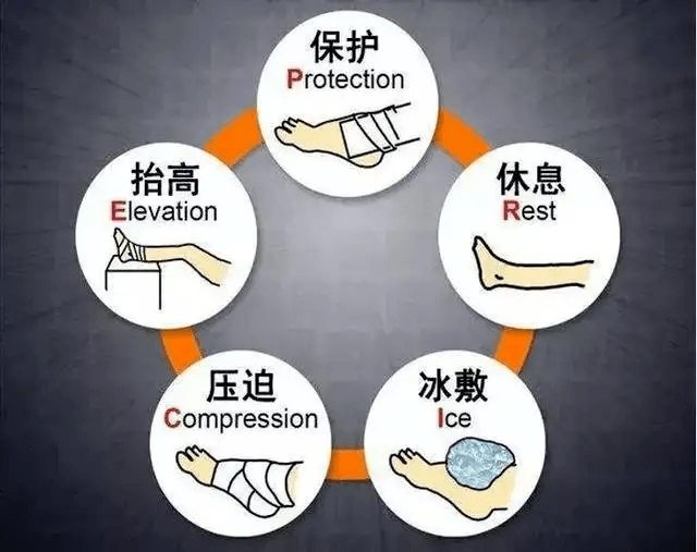 V体育：科学健身指导，避免运动损伤